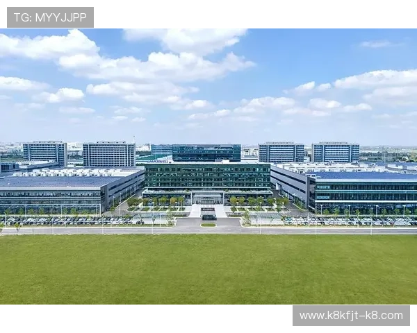 凯发网网站登录入口官网首页官方入口地址及登录步骤全攻略