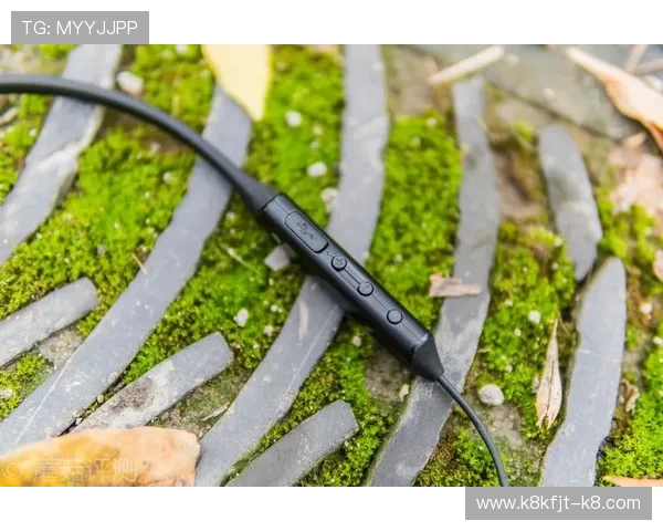 凯发九游会多平台兼容性分析支持多设备无缝切换体验更流畅